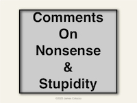 Comments on nonsense and stupidity